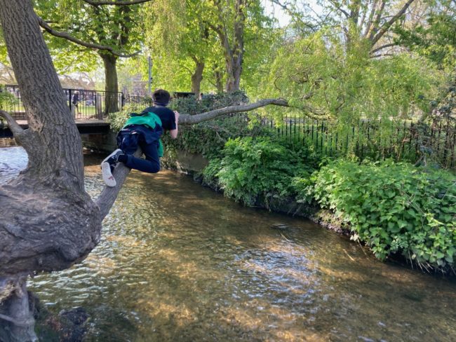 Nature is my children's playground.