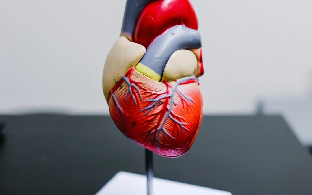 How to look after your heart