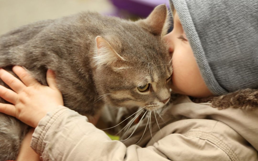 Why are pets good for kids?