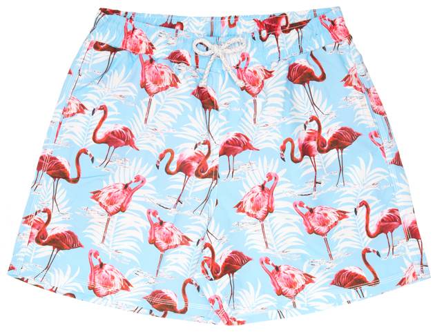 Flamingo Print Swimmers