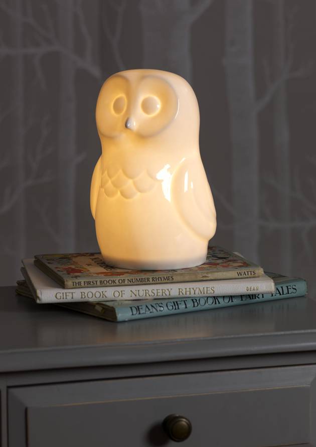 Ceramic Wise Owl