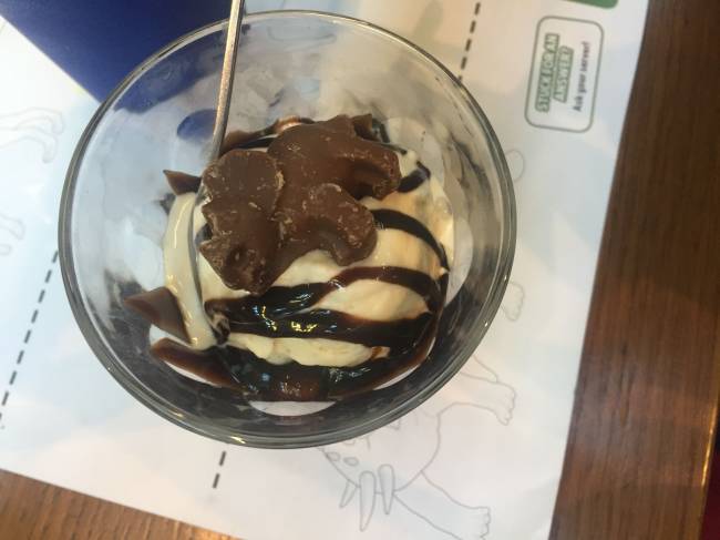 "Waiter, there appears to be a Triceratops in my ice cream!" | Image: Jacqui Barrett 